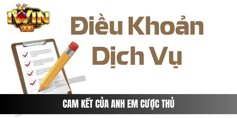 Cam kết của anh em cược thủ